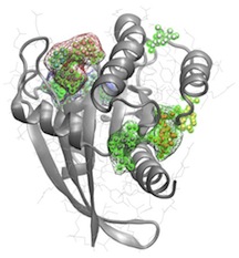 Prediction of drugable sites on Ras